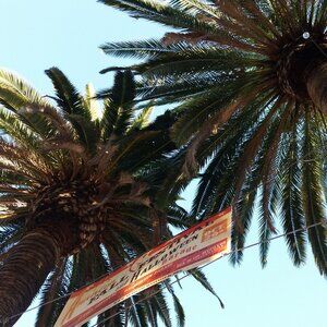 CraftyDee234's Live Show